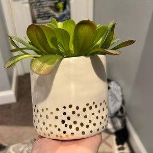 Fake plant with polka-dotted gold pot.